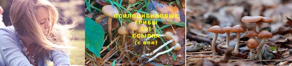 герыч Алзамай