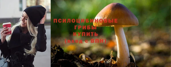 гашик Алексеевка